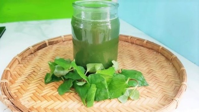 bai-viet/goc-hoi-dap-su-dung-diep-ca-nguyen-chat-co-tot-khong.html