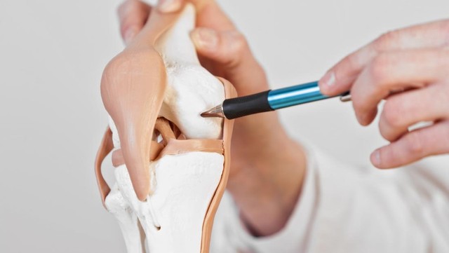 benh/hep-khe-khop-goi.html