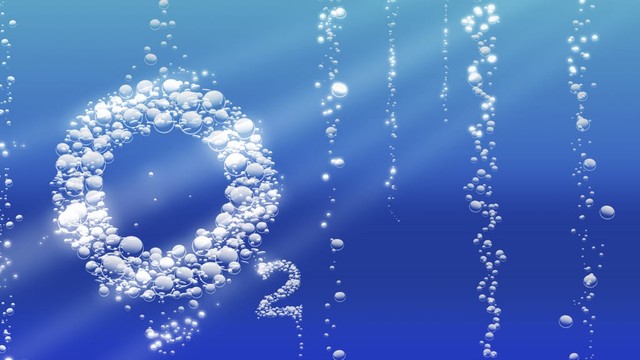 bai-viet/hit-tho-oxygen-nguyen-chat-co-loi-hay-hai-cho-co-the.html