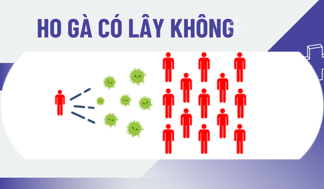 bai-viet/ho-ga-co-lay-khong-va-lay-qua-duong-nao-55808.html
