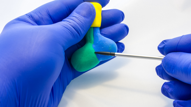 bai-viet/ho-yen-trong-kham-pha-dau-hieu-va-nhung-tac-dong-den-suc-khoe.html