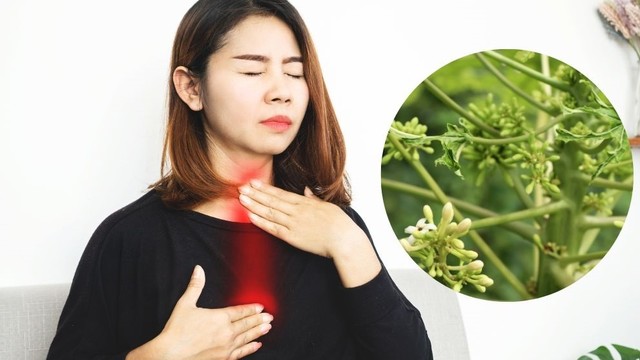 bai-viet/hoa-du-du-duc-chua-trao-nguoc-da-day-co-thuc-su-hieu-qua-khong.html