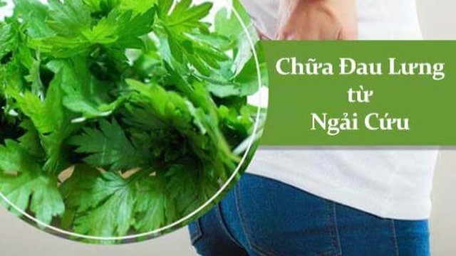 bai-viet/hoc-ngay-cach-chua-dau-lung-bang-ngai-cuu-tai-nha-cuc-an-toan-va-hieu-qua.html