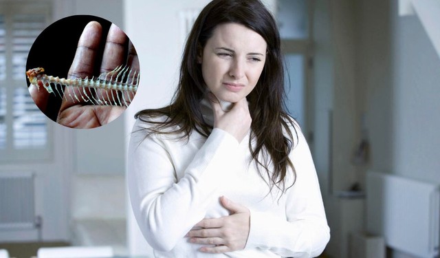 bai-viet/hoc-xuong-ca-co-tu-khoi-khong-xuong-ca-co-tu-tan-khong.html