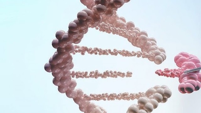 bai-viet/hoi-chung-li-fraumeni-lfs-58636.html