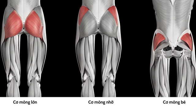 benh/hoi-chung-mong-chet.html