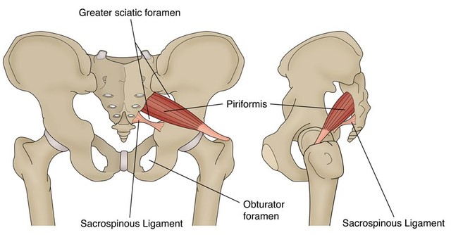 bai-viet/hoi-chung-piriformis-nguyen-nhan-dau-hieu-nhan-biet-va-cach-dieu-tri.html