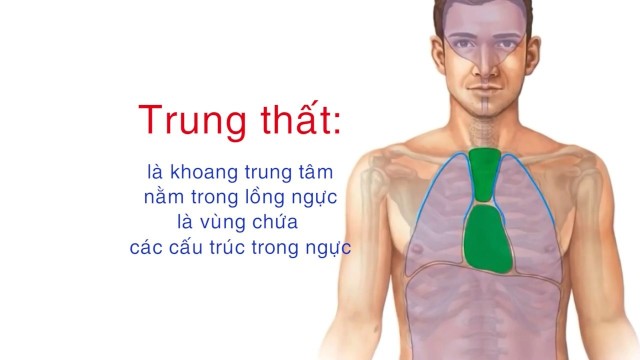 bai-viet/hoi-chung-trung-that-gay-nen-nhung-trieu-chung-gi-nguyen-nhan-va-huong-dieu-tri-hieu-qua.html