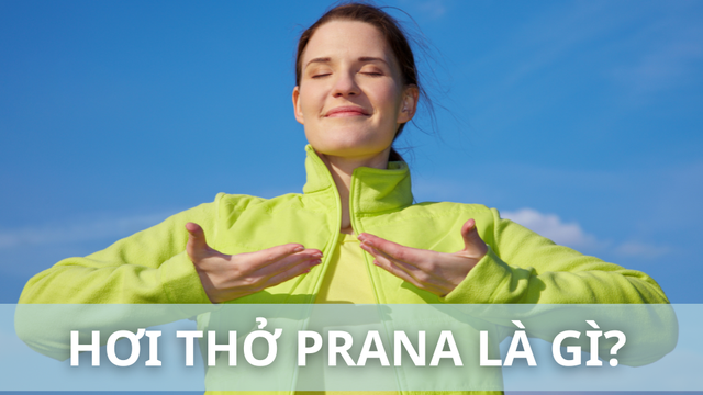 bai-viet/hoi-tho-prana-la-gi-loi-ich-cua-viec-ung-dung-hoi-tho-prana-trong-yoga.html
