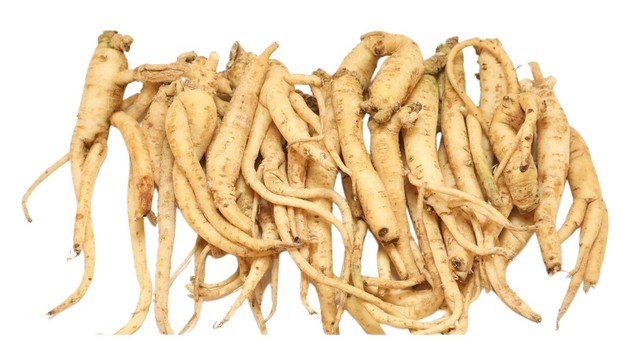 bai-viet/hong-dang-sam-va-cong-dung-bat-ngo-voi-suc-khoe.html