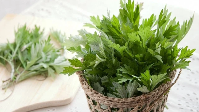 bai-viet/an-ngai-cuu-co-tac-dung-gi-mot-so-bai-thuoc-chua-benh-tu-ngai-cuu.html