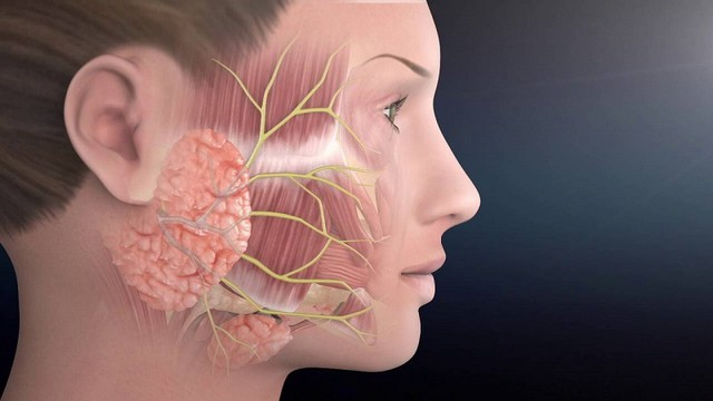 bai-viet/bell-s-palsy-la-gi-dau-hieu-nguyen-nhan-va-cach-dieu-tri.html