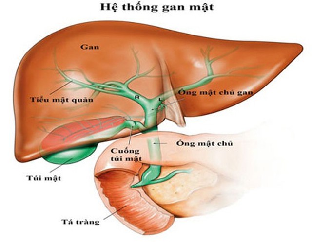 benh/teo-duong-mat-bam-sinh-247.html