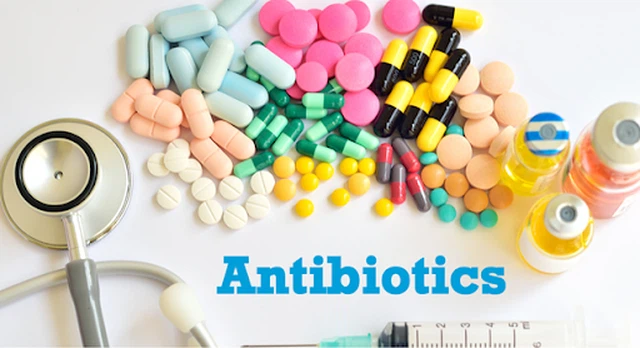 benh/nhiem-shigella-77.html