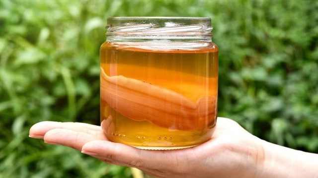 bai-viet/8-loi-ich-suc-khoe-tuyet-voi-cua-tra-kombucha-47931.html
