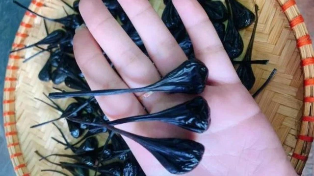 bai-viet/mat-ky-da-co-tac-dung-gi-cach-su-dung-mat-ky-da-nhu-nao-cho-hieu-qua.html