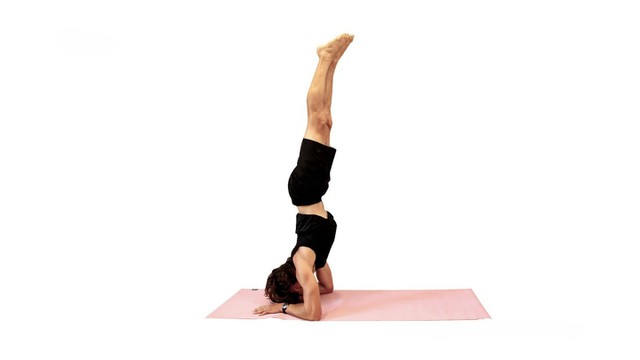 bai-viet/tac-dung-cua-tu-the-pincha-mayurasana-va-cach-tap-luyen-dung.html