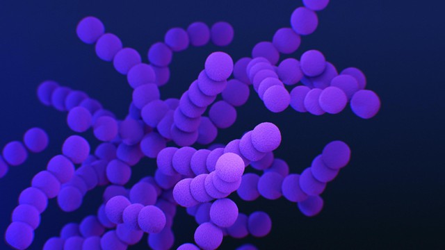 bai-viet/phuong-phap-phong-ngua-lay-truyen-streptococcus-agalactiae-tu-me-sang-con.html