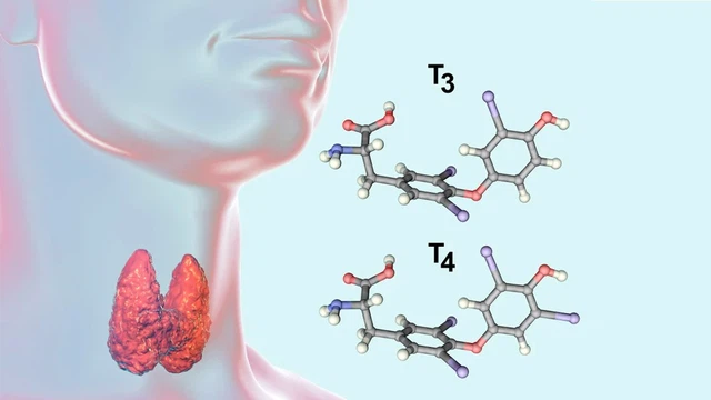 bai-viet/hormon-tuyen-giap-t3-t4-co-vai-tro-gi.html