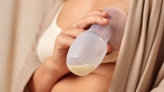 Cốc hứng sữa là gì? Những lợi ích khi sử dụng cốc hứng sữa