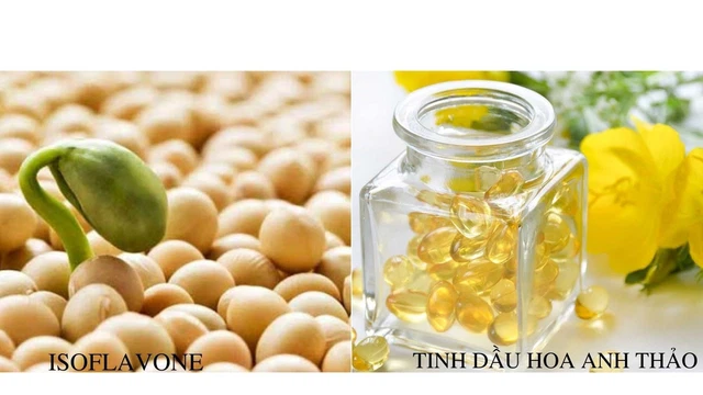 bai-viet/goc-giai-dap-uong-hoa-anh-thao-va-mam-dau-nanh-cung-luc-duoc-khong.html