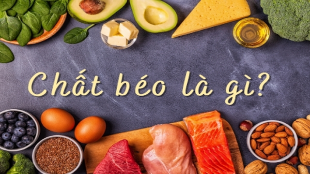 bai-viet/vai-tro-cua-chat-beo-va-cach-kiem-soat-chat-beo-trong-co-the.html