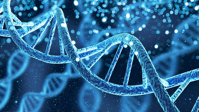 bai-viet/adn-va-dna-su-khac-biet-va-diem-chung-trong-khoa-hoc-y-sinh.html