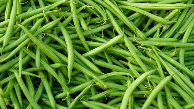 bai-viet/an-dau-dua-co-tac-dung-gi-thanh-phan-dinh-duong-cua-dau-dua.html