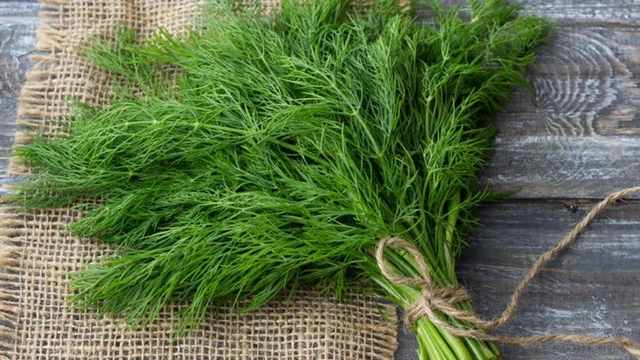 bai-viet/an-rau-thi-la-co-mat-sua-khong-thuc-pham-loi-sua-me-nen-bo-sung.html