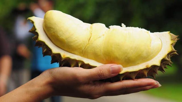 bai-viet/an-sau-rieng-kieng-gi-nhung-luu-y-khi-an-sau-rieng-ma-ban-nen-biet-68673.html