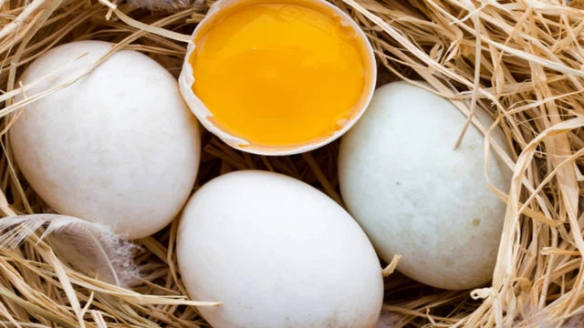 Ăn trứng vịt sống có sao không? Những điều bạn cần biết