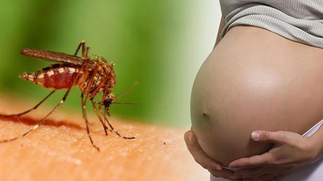 bai-viet/ba-bau-bi-muoi-dot-co-sao-khong-46497.html