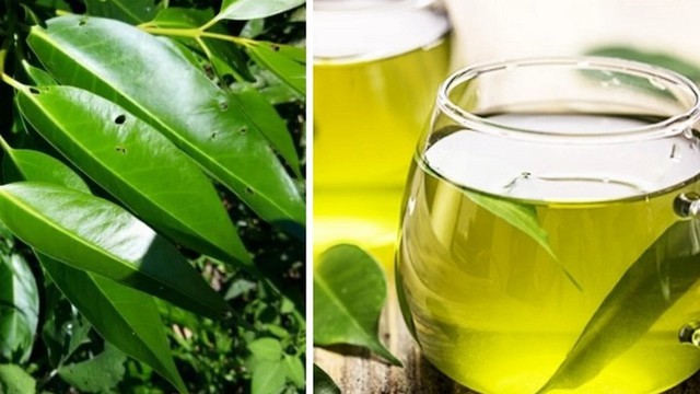 bai-viet/ba-bau-uong-nuoc-voi-co-tot-khong-cong-dung-tuyet-voi-cua-nuoc-voi-co-the-me-chua-biet.html