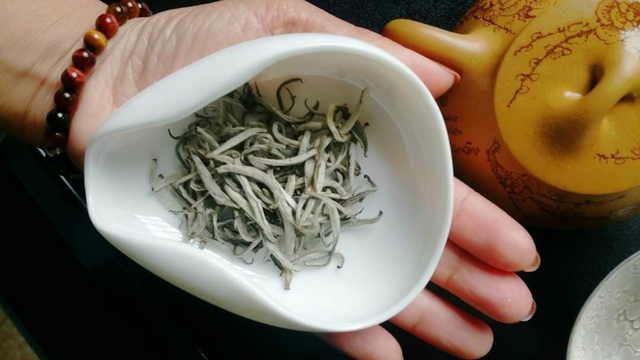 bai-viet/bach-tra-shan-tuyet-la-gi-loi-ich-cua-bach-tra-shan-tuyet-doi-voi-suc-khoe.html