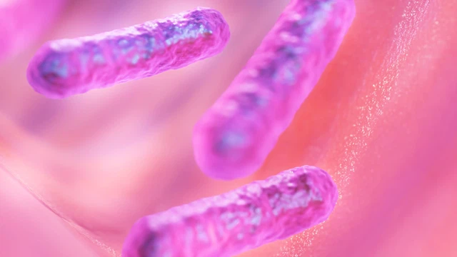 bai-viet/nhung-dieu-can-biet-ve-bacillus-coagulans.html