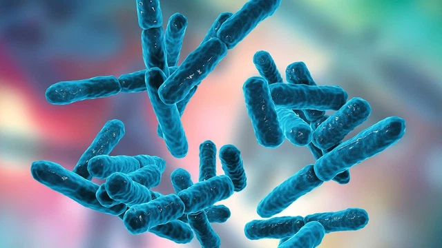 bai-viet/bacillus-subtilis-la-gi-tac-dung-cua-bacillus-subtilis-doi-voi-suc-khoe.html