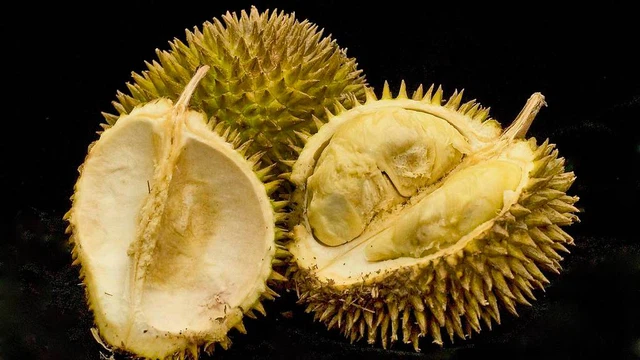 bai-viet/an-sau-rieng-co-tac-dung-gi-ham-luong-dinh-duong-cua-sau-rieng.html