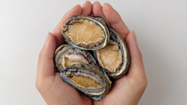 Bào ngư: Giá trị dinh dưỡng, tác dụng và lưu ý khi sử dụng 5