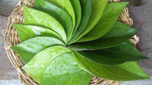 bai-viet/bat-mi-cach-xong-la-trau-giup-se-khit-vung-kin-hieu-qua-55020.html