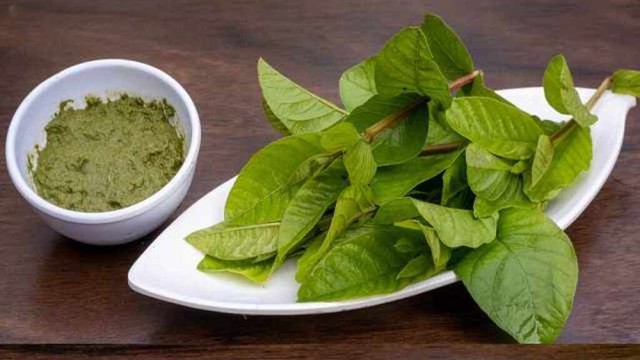 bai-viet/bat-mi-tac-dung-cua-bot-la-oi-doi-voi-suc-khoe.html