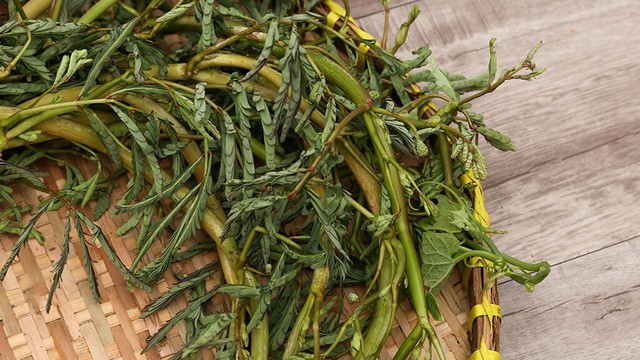 bai-viet/bau-3-thang-dau-an-rau-nhut-duoc-khong-luu-y-khi-an-rau-nhut.html