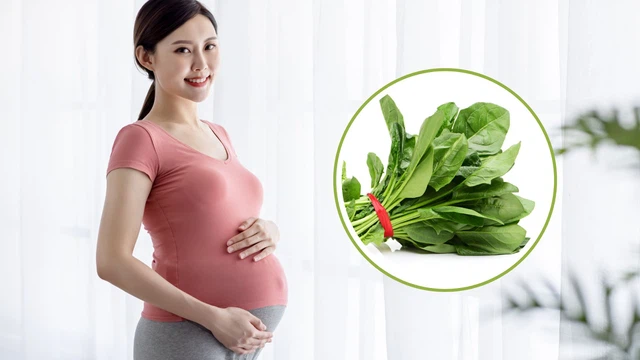 bai-viet/bau-an-cai-bo-xoi-duoc-khong-loi-ich-va-nhung-luu-y-me-bau-can-biet.html