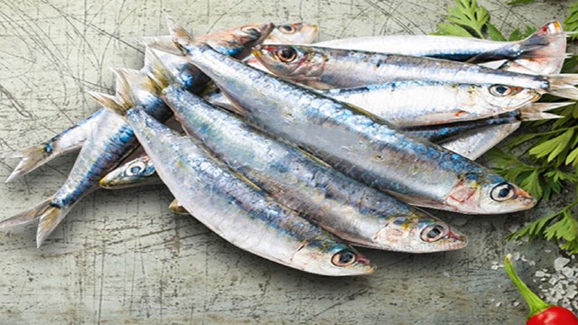 bai-viet/ca-moi-la-gi-gia-tri-dinh-duong-va-loi-ich-cua-ca-moi-doi-voi-suc-khoe-71639.html