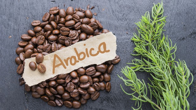 Cà phê Arabica là gì? Những loại cà phê Arabica phổ biến hiện nay