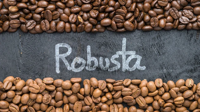 bai-viet/ca-phe-robusta-la-gi-nguon-goc-cong-dung-va-nhung-dieu-can-biet.html