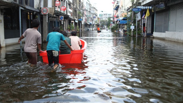 bai-viet/cac-bien-phap-chung-de-phong-benh-sau-mua-lu.html