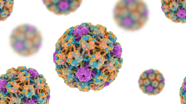 bai-viet/cac-chung-hpv-pho-bien-nguy-co-mac-ung-thu-va-cac-bien-phap-phong-ngua.html