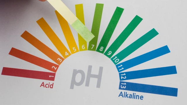bai-viet/cach-doc-khi-mau-va-nghia-lam-sang-cua-cac-thong-so-khi-mau.html