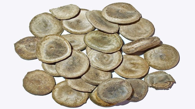 bai-viet/cach-ngam-ruou-hat-ma-tien-xoa-bop-tri-nhuc-moi-tai-nha.html