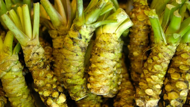bai-viet/cai-wasabi-thanh-phan-dinh-duong-va-loi-ich-suc-khoe.html
